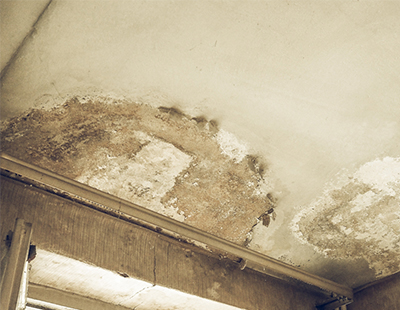 Why property investors should never put off dealing with damp